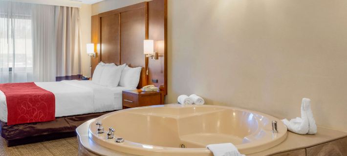 Comfort Suites Oakbrook Terrace Near Oakbrook Center Hotels in DuPage County