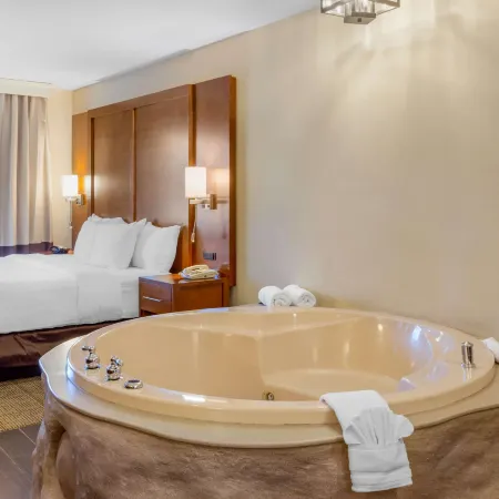 Comfort Suites Oakbrook Terrace Near Oakbrook Center