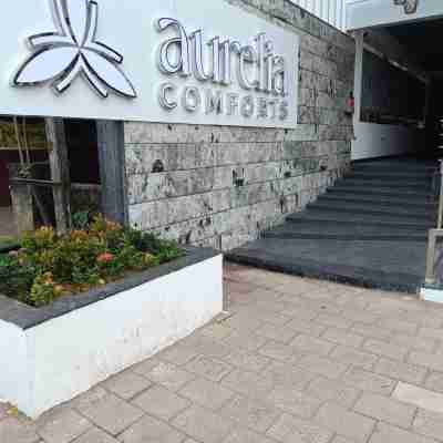 Aurelia Comforts Hotel Exterior