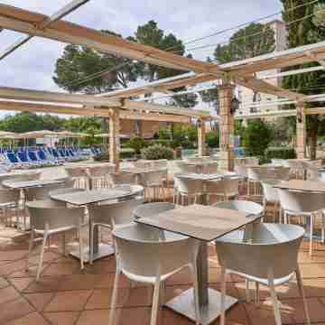 Globales Nova Dining/Meeting Rooms