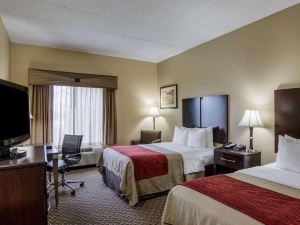 Comfort Inn Waynesboro