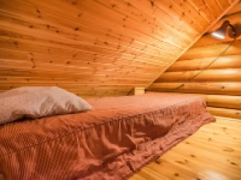 Metsätähti 普奧蘭卡酒店