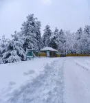 Magic Himalayan Cottage Hotels in Pahalgam