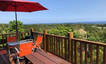 Matayoshi Coffee Farm