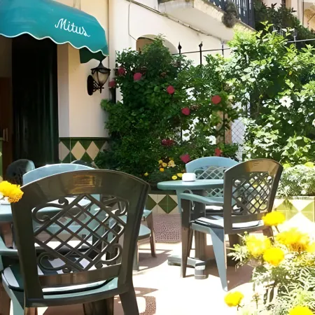 Hotel Mitus