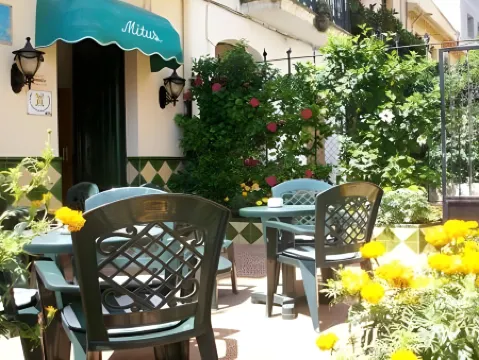 Hotel Mitus