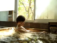 Oyado Ikegami - Hot Springs