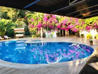 Murat Pasha Mansion - Hot Springs