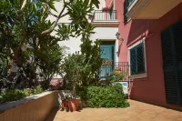 Nice Studio on the Terrace