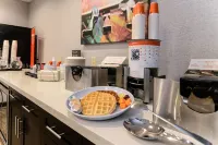 Hampton Inn & Suites Detroit/Allen Park Hotels in Allen Park