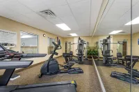 Comfort Inn & Suites Porter Near Indiana Dunes - Gym