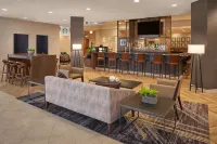 Sheraton Detroit Novi Hotel - bar