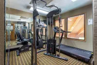 Baymont Inn and Suites by Wyndham Harvard, IL - gimnasio