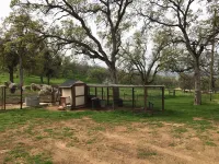 "The 56" - Yosemite Foothills Ranch