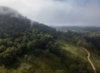 Luxury Off-Grid Tiny House in the beautiful Southern Highlands