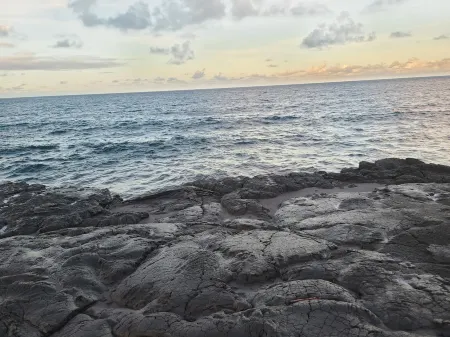 Cozy and Modern Style Studio with King Size Bed Free Laundry in HPP Отели в г. Хавайиан-Парадайс-Парк