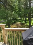 ENTIRE HOUSE IN TOWN ~ DOG FRIENDLY              “CAMP KOSKENKORVA”