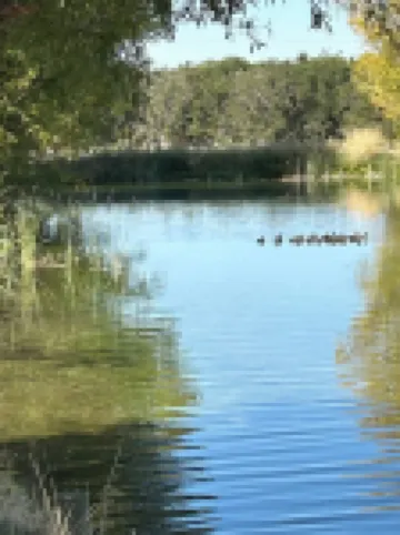 Charming Farmhouse-2 bedroom in a quiet country setting only minutes from town.