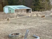 Peaceful Secluded Farmhouse - 10 minutes from Bonner's Ferry