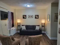 Luxury 1 bedroom, 1 Bath apt. in the middle of downtown Detroit w/parking spot!