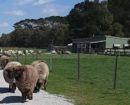 Farmstay at Fleece, Flock & Fibre an historic railway station in Taralga
