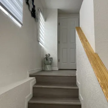 Sebring Downtown’s Best