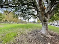 Private Bungalow - Quiet & Convenient in Pasadena