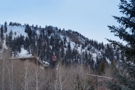 5 Million Dollar Aspen Core Home Steps to Gondola by Aspen Vacation Rentals®