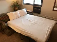 SKI LODGE CONDO NEAR BIG POWDERHORN MTN, BLACK RIVER HARBOR, COPPER PEAK