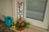 Otter Stop Inn!  Ocean and mountain views from every window!