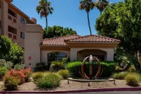 Super Host w/23 reviews on Airbnb! Fantastic Location- Biltmore Luxury Condo