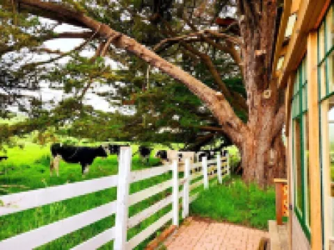Estero Schoolhouse Guest Studio
