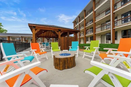 Downtown Happy Hideout Condo Отели рядом с достопримечательностью «The SKY Deck at Parakeet Pete's Waterfront Zipline»