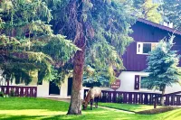 River Front Cozy Condo near RMNP
