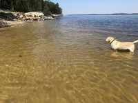 Lakeside cottage, water access + pet friendly