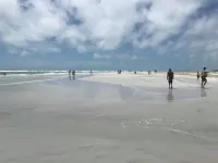 Lido/St. Armands, Sarasota-Walk to Beach & St. Armands, Private cottage w/grill!