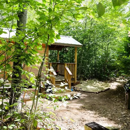 Tiny Cabin on 100 Acres Kayaks/Canoes/Paddleboards