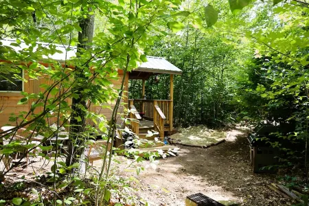 Tiny Cabin on 100 Acres Kayaks/Canoes/Paddleboards Отели в г. Виндзор