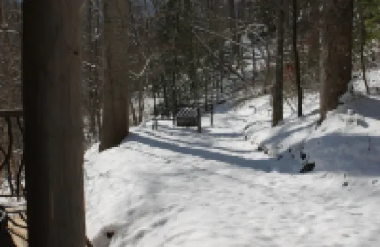 Spring is Here!!  Come Enjoy the Great Outdoors at Poplar Lodge!