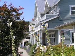 Water view! Luxury Port Suite -- walk to cafes, shops, galleries & beaches.