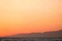 The Torrance Bungalow