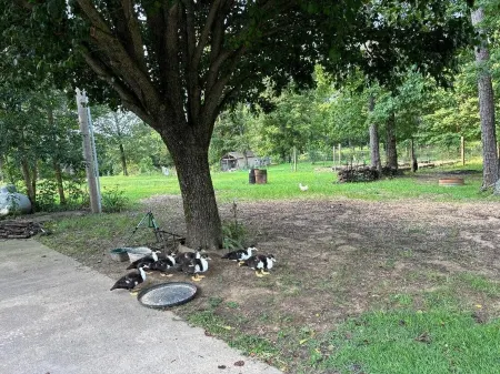 Come visit Heber Springs and experience life on the Evans Mountaintop Farm! Отели в г. Cleburne County