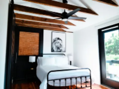 Completely remodled Victorian era home downtown Lynchburg VA