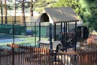 Pine Haven - 2 bed, 2 bath -  sleeps 6