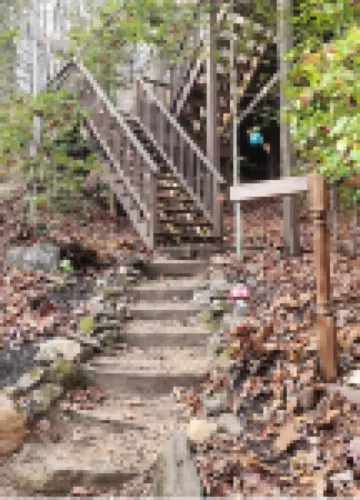 Romantic Treehouse/ 20 minutes from Helen