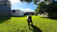 Pet Friendly, close to beach