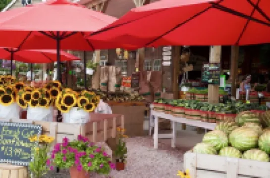 Renovated Cozy Chic North Fork Cottage, steps away from the Beach & Wine Trail!!