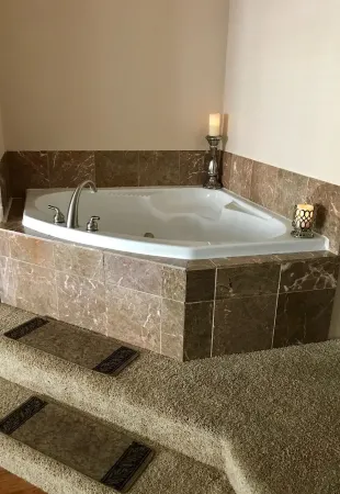 Peaceful Condo in Wabasha with Beautiful River Bluff Location (Lower Unit)