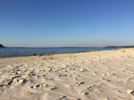 Sleeps 22! First Class home with 2 master suites on Lake Sam Rayburn!