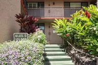 Stunning Two bedroon  Corner Oceanview condo in Kihei